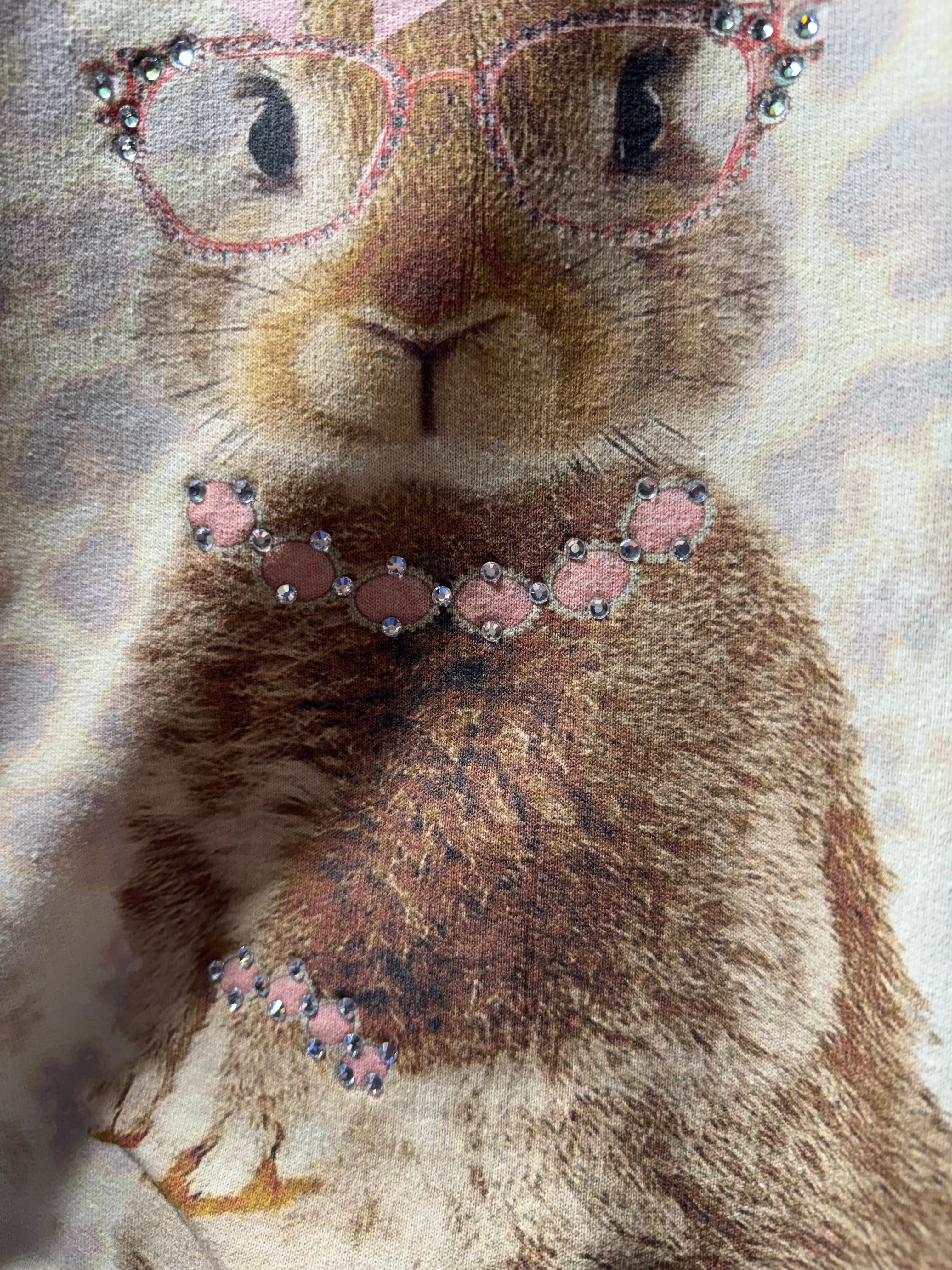 Bougee bunny sweatshirt